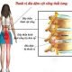 Bệnh thoát vị đĩa đệm cột sống thắt lưng 3 benh-thoat-vi-dia-dem-cot-song-that-lung